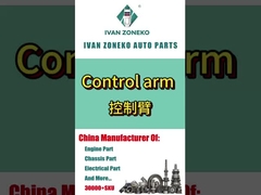 Ivanzoneko brand - full range of control arm