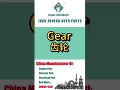 Ivanzoneko brand - full range of gears