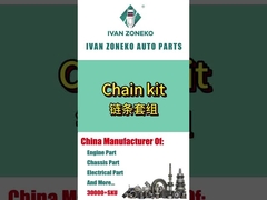Ivanzoneko brand - full range of Timing chain set