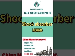 Ivanzoneko-Shock absorbers
