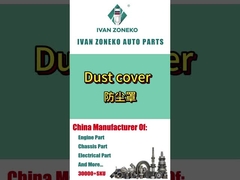 Ivan Zoneko- Dust Cover