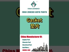 Ivan Zoneko- Gaskets