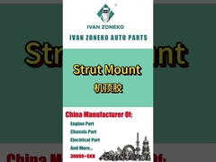 Ivan Zoneko- Strut Mount