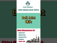 Ivan Zoneko- Ball Joint